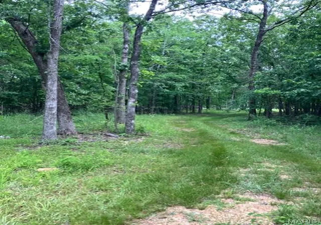 1st image of 282 Madison Cr 410, Fredericktown, MO 63645 | MLS# MIS26050129
