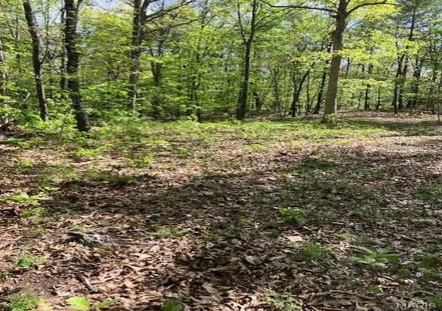 1st image of 283 Madison Cr 410, Fredericktown, MO 63645 | MLS# MIS26050130