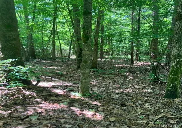 2nd image of 283 Madison Cr 410, Fredericktown, MO 63645 | MLS# MIS26050130