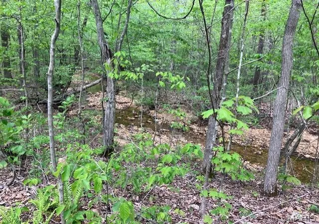 1st image of 284 Madison Cr 410, Fredericktown, MO 63645 | MLS# MIS26050132