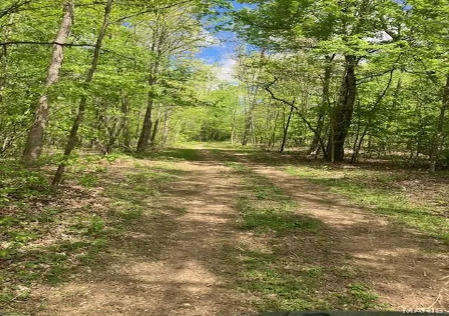 3rd image of 284 Madison Cr 410, Fredericktown, MO 63645 | MLS# MIS26050132