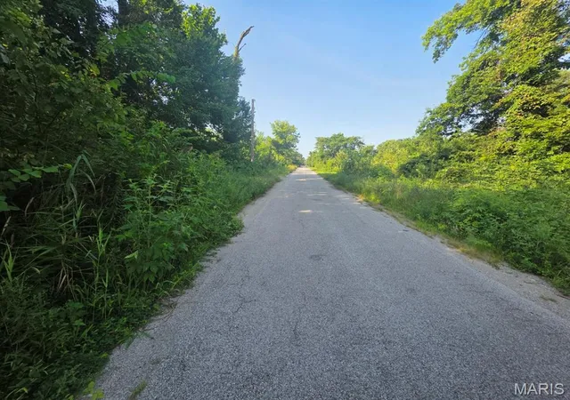 Photo 3 of Land for sale at Xx 74th St, East Saint Louis, IL 62203 | MLS# MIS26050219 | Listing updated on 2026-08-12