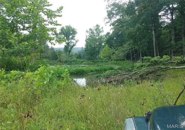 5th image of 2139 County Road 101, Ironton, MO 63650 | MLS# MIS26050278