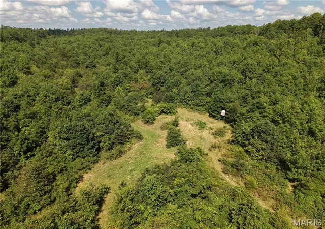 1st image of 69042 Missouri 21, Ellington, MO 63638 | MLS# MIS26050280