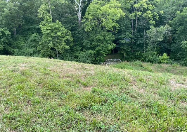 Photo 3 of Land for sale at 2041 Lily Ave, Saint Louis, MO 63122 | MLS# MIS26050284 | Listing updated on 2026-08-06