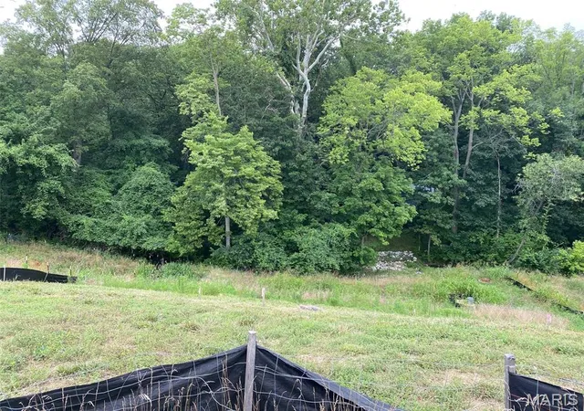 Photo 3 of Land for sale at 2041 Lily Ave, Saint Louis, MO 63122 | MLS# MIS26050284 | Listing updated on 2026-08-06