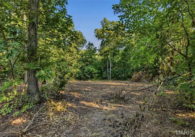 Photo 3 of Land for sale at 131 Mitchell Ct, Troy, MO 63379 | MLS# MIS26050318 | Listing updated on 2026-08-11