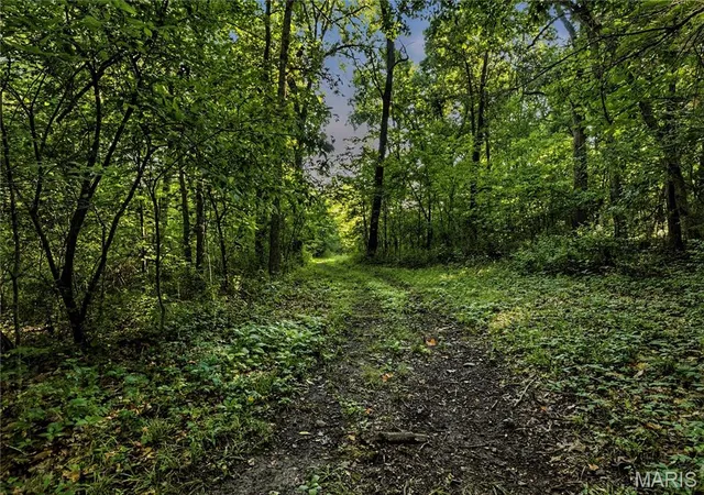 Photo 3 of Land for sale at 131 Mitchell Ct, Troy, MO 63379 | MLS# MIS26050318 | Listing updated on 2026-09-30