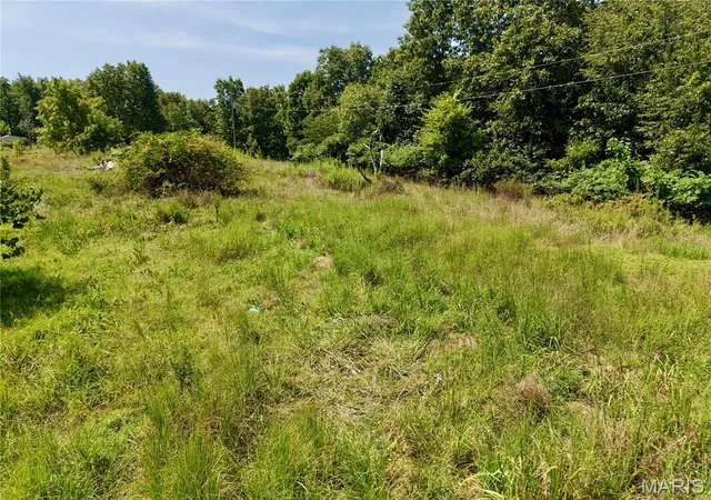 Photo 3 of Single family home for sale at 1333 County Road 565, Van Buren, MO 63965 | MLS# MIS26050363 | Listing updated on 2026-08-12