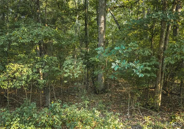 3rd image of 000 Glassey Rd, Cuba, MO 65453 | MLS# MIS26050365