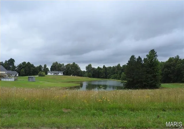 2nd image of (Undisclosed), Harviell, MO 63945 | MLS# MIS26050430