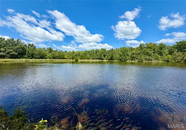 3rd image of 96 Helmering Rd, Steelville, MO 65565 | MLS# MIS26050453