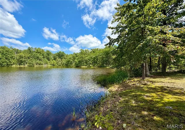 4th image of 96 Helmering Rd, Steelville, MO 65565 | MLS# MIS26050453