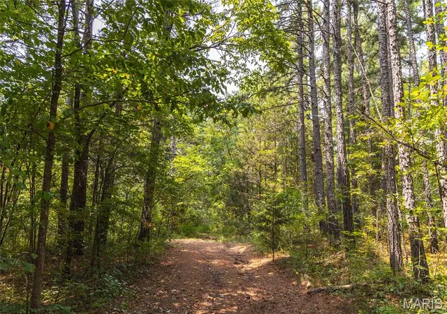 Photo 3 of Land for sale at 00 Old Jefferson City Road, Potosi, MO 63644 | MLS# MIS26050468 | Listing updated on 2026-08-12