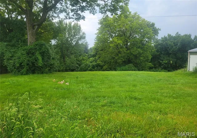 1st image of 411 N 6th St, Elsberry, MO 63343 | MLS# MIS26050560