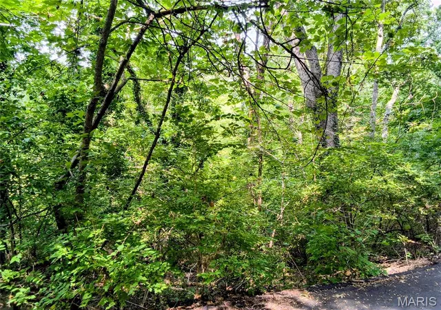Photo 3 of Land for sale at Lot9 Block C Woodland Dr, Cedar Hill, MO 63016 | MLS# MIS26050622 | Listing updated on 2026-08-24