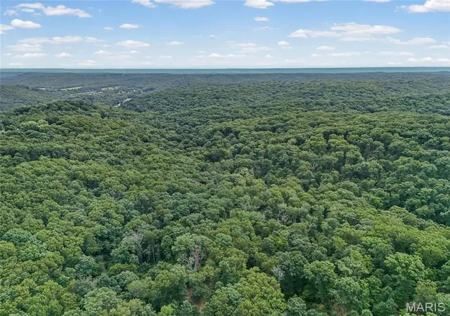 30th image of 0 Upper Moss Hollow, Barnhart, MO 63012 | MLS# MIS26050644