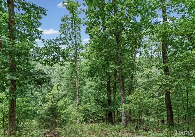 Photo 3 of Land for sale at 0 Upper Moss Hollow, Barnhart, MO 63012 | MLS# MIS26050644 | Listing updated on 2026-08-20