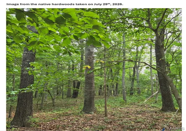 3rd image of Tbd Red Oak Rd, Waynesville, MO 65583 | MLS# MIS26050698