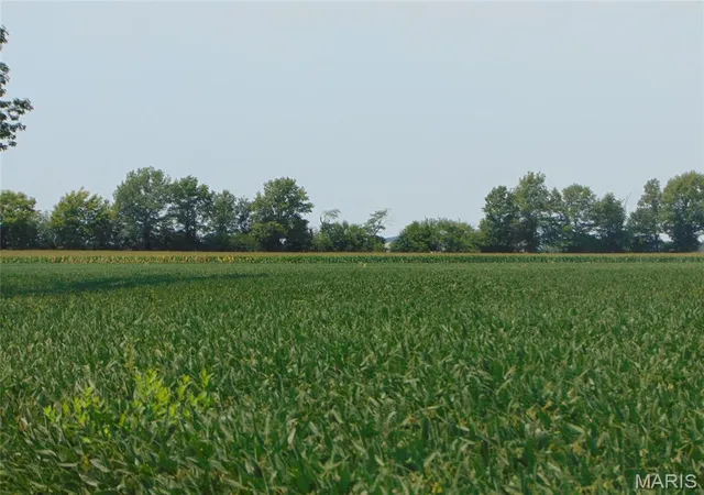 Photo 1 of Land for sale at 0000 State Route 14, Du Quoin, IL 62832 | MLS# MIS26050727 | Listing updated on 2026-08-07