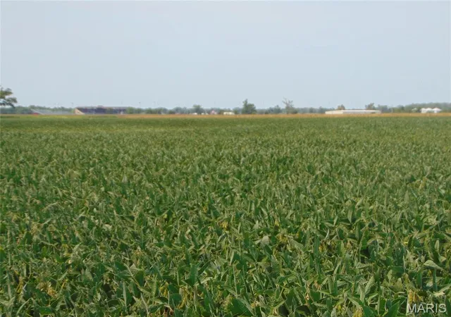 Photo 2 of Land for sale at 0000 State Route 14, Du Quoin, IL 62832 | MLS# MIS26050727 | Listing updated on 2026-08-07