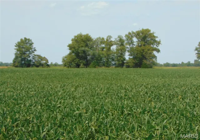 Photo 2 of Land for sale at 0000 State Route 14, Du Quoin, IL 62832 | MLS# MIS26050727 | Listing updated on 2026-08-07