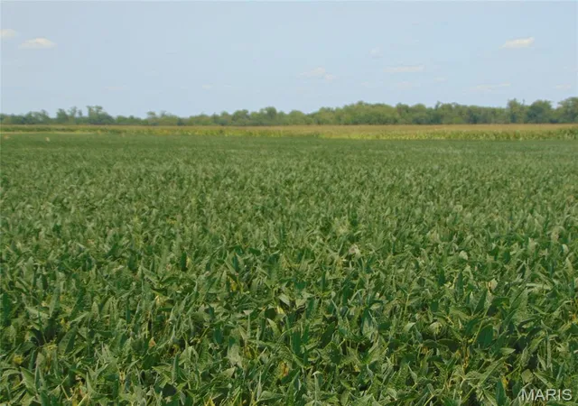 Photo 3 of Land for sale at 0000 State Route 14, Du Quoin, IL 62832 | MLS# MIS26050727 | Listing updated on 2026-08-07