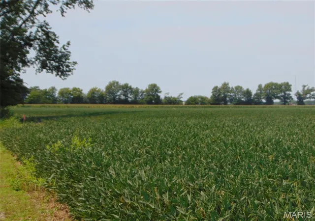 Photo 8 of Land for sale at 0000 State Route 14, Du Quoin, IL 62832 | MLS# MIS26050727 | Listing updated on 2026-08-07