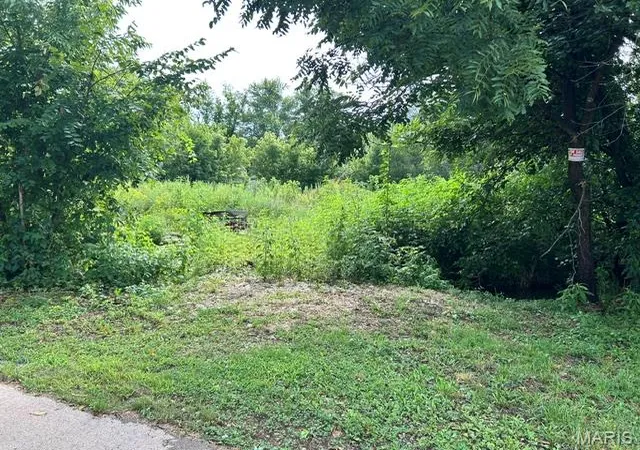 1st image of 0 County Road 32, Ironton, MO 63650 | MLS# MIS26050751