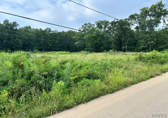 1st image of 0 Hwy N, Middlebrook, MO 63656 | MLS# MIS26050760