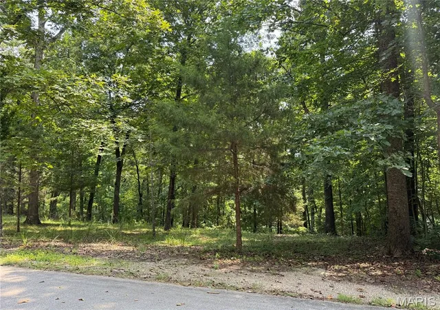 Photo 4 of Land for sale at 0 Radcliff Ln, Poplar Bluff, MO 63901 | MLS# MIS26050822 | Listing updated on 2026-10-01