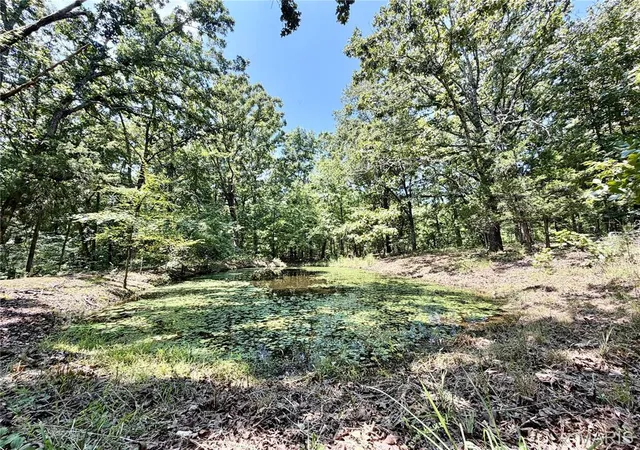 Photo 29 of Single family home for sale at 19046 US 160, Doniphan, MO 63935 | MLS# MIS26050836 | Listing updated on 2026-10-01