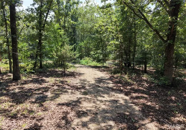 Photo 3 of House for sale at 19046 US 160, Doniphan, MO 63935 | MLS# MIS26050836 | Listing updated on 2026-10-01