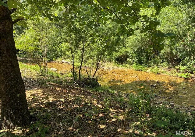 2nd image of 00 Hwy A, Belleview, MO 63623 | MLS# MIS26050871