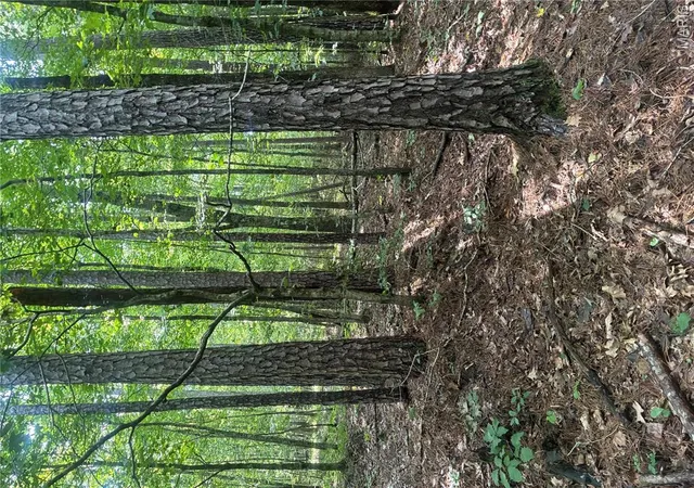 36th image of 00 Hwy A, Belleview, MO 63623 | MLS# MIS26050871