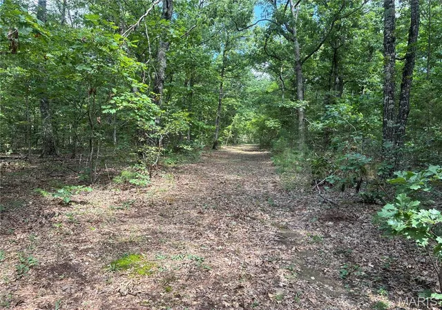 4th image of 00 Hwy A, Belleview, MO 63623 | MLS# MIS26050871
