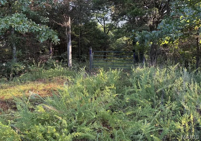 Photo 3 of Sale Pending at 245+/  Acres Hwy 185, Sullivan, MO 63080 | MLS# MIS26050878 | Listing updated on 2026-08-13