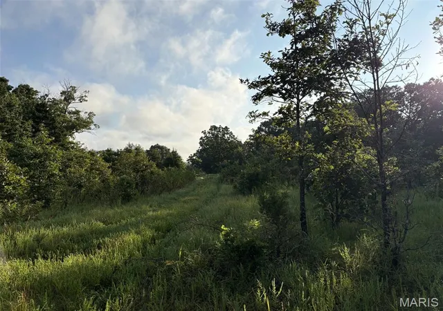 Photo 3 of Sale Pending at 245+/- Acres Hwy 185, Sullivan, MO 63080 | MLS# MIS26050878 | Listing updated on 2026-08-13