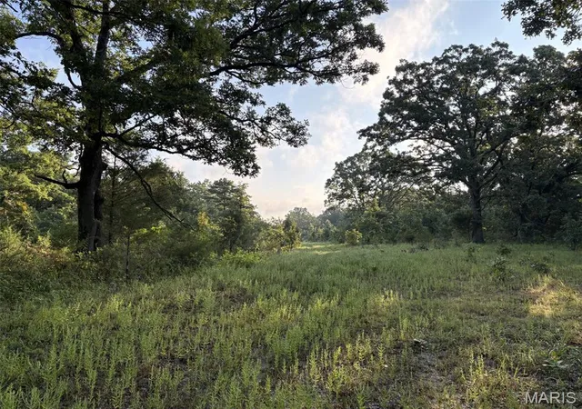 Photo 4 of Sale Pending at 245+/- Acres Hwy 185, Sullivan, MO 63080 | MLS# MIS26050878 | Listing updated on 2026-08-13