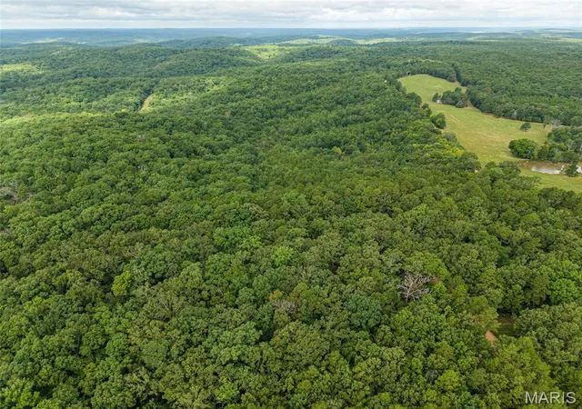 3rd image of 000 County Road 434, Piedmont, MO 63957 | MLS# MIS26051007