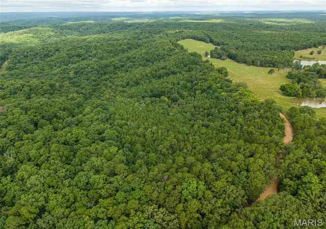 4th image of 000 County Road 434, Piedmont, MO 63957 | MLS# MIS26051007