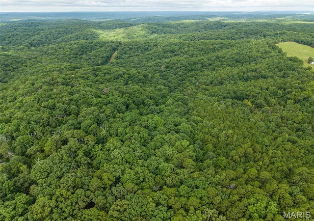 5th image of 000 County Road 434, Piedmont, MO 63957 | MLS# MIS26051007