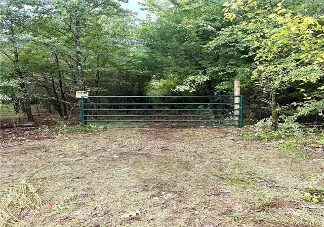 99th image of 000 County Road 434, Piedmont, MO 63957 | MLS# MIS26051007