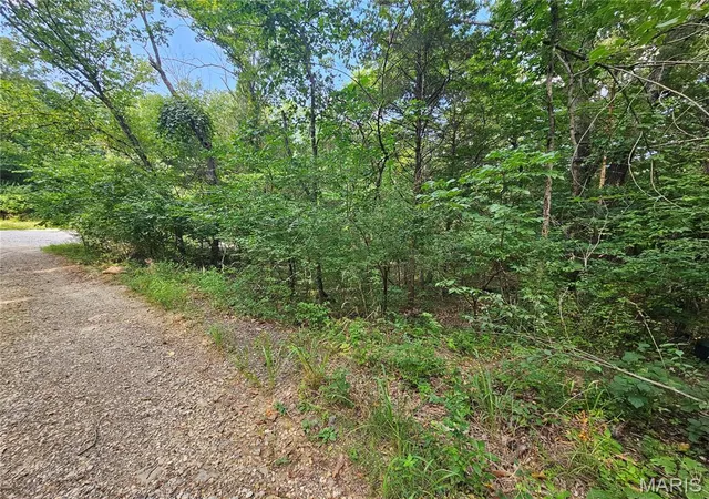 1st image of 9468 Bent Tree Dr, Hillsboro, MO 63050 | MLS# MIS26051025