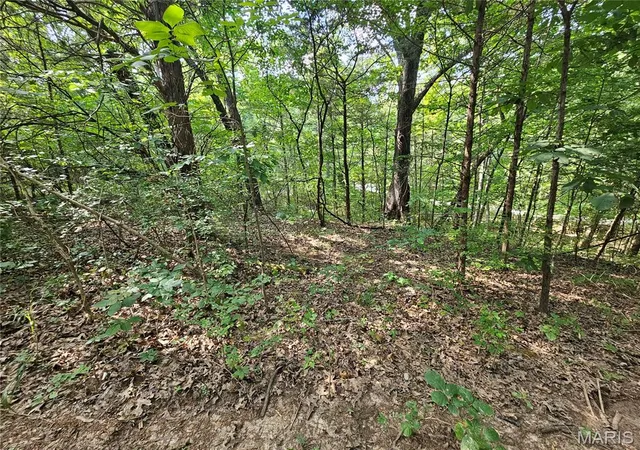 2nd image of 9468 Bent Tree Dr, Hillsboro, MO 63050 | MLS# MIS26051025