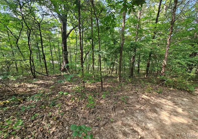 3rd image of 9468 Bent Tree Dr, Hillsboro, MO 63050 | MLS# MIS26051025