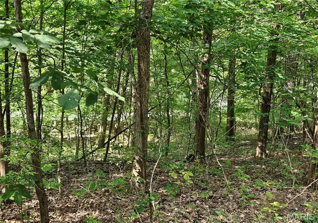 4th image of 9468 Bent Tree Dr, Hillsboro, MO 63050 | MLS# MIS26051025