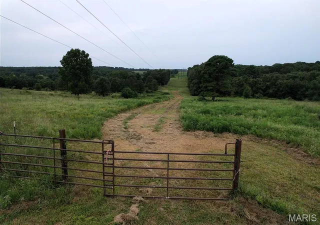 Photo 3 of Land for sale at 0 County Road 448, Poplar Bluff, MO 63901 | MLS# MIS26051043 | Listing updated on 2026-08-11
