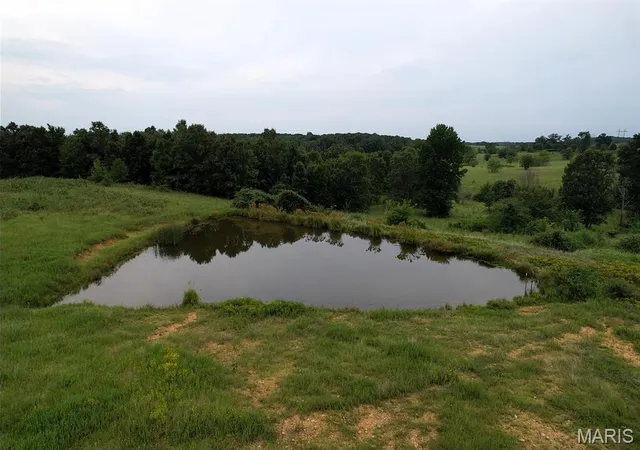 Photo 3 of Land for sale at 0 County Road 448, Poplar Bluff, MO 63901 | MLS# MIS26051043 | Listing updated on 2026-08-11