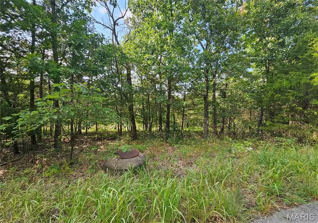 Photo 1 of Land for sale at 10515 Eagles Nest Dr, Hillsboro, MO 63050 | MLS# MIS26051058 | Listing updated on 2026-08-25